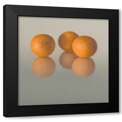 IIDK1262 Black Modern Wood Framed Art Print with Double Matting by Delaer
