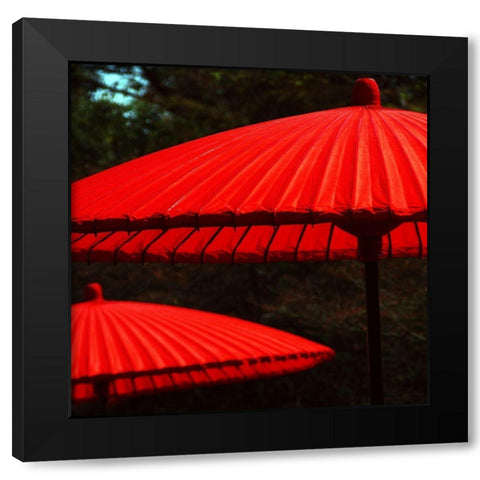 Red protection Black Modern Wood Framed Art Print with Double Matting by Weber, Matthias