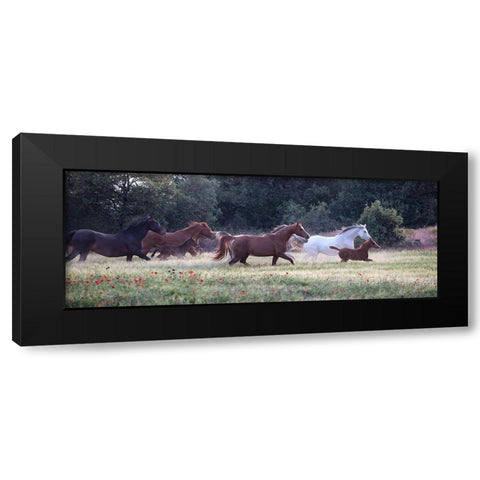 Family Together II Black Modern Wood Framed Art Print by Llovet, Jorge