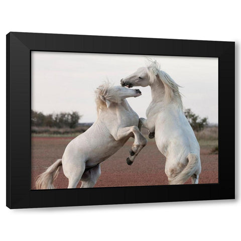 Male Competition Black Modern Wood Framed Art Print with Double Matting by Llovet, Jorge