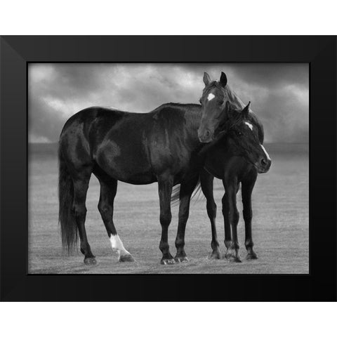 Feeling Good Black Modern Wood Framed Art Print by Llovet, Jorge