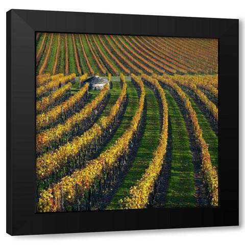 Veineyards of hautes cotes Burgundy Black Modern Wood Framed Art Print with Double Matting by Strand, Hans