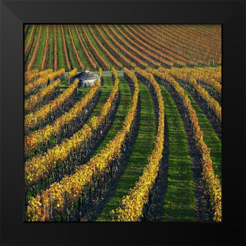 Veineyards of hautes cotes Burgundy Black Modern Wood Framed Art Print by Strand, Hans