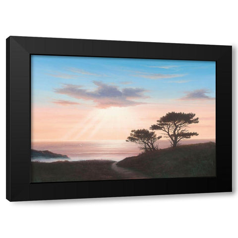 Eagles Nest Cornwall Black Modern Wood Framed Art Print with Double Matting by Sim, John F