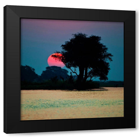 River of Tranquility Black Modern Wood Framed Art Print by Brommelhorster, Ulf