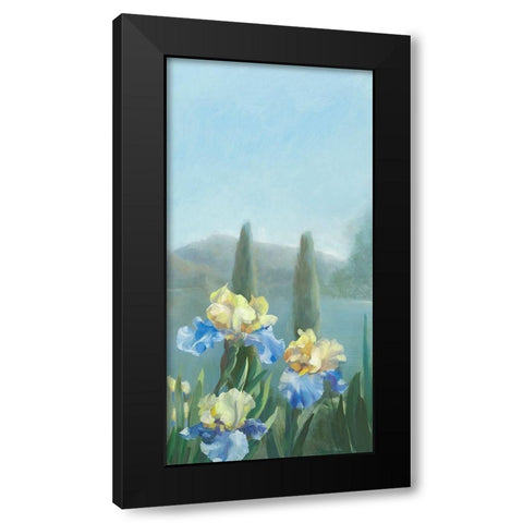 Isola Bella III Black Modern Wood Framed Art Print by Vernageau, Sylvie