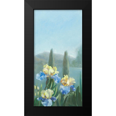 Isola Bella III Black Modern Wood Framed Art Print by Vernageau, Sylvie