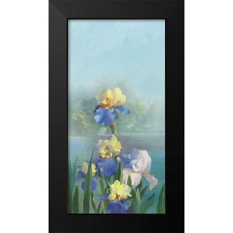 Isola Bella IV Black Modern Wood Framed Art Print by Vernageau, Sylvie