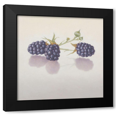 12DK1283 Black Modern Wood Framed Art Print with Double Matting by Delaer