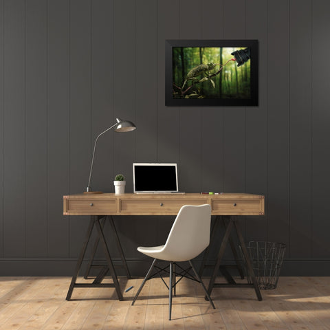 Just a Chameleon action shooting… Black Modern Wood Framed Art Print by John Wilhelm is a Photoholic