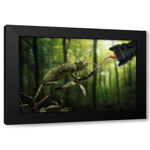 Just a Chameleon action shooting… Black Modern Wood Framed Art Print by John Wilhelm is a Photoholic