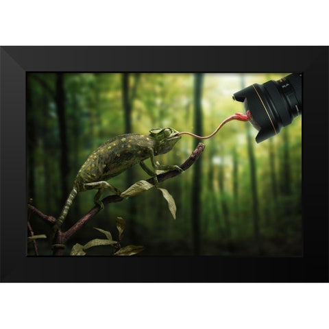 Just a Chameleon action shooting… Black Modern Wood Framed Art Print by John Wilhelm is a Photoholic