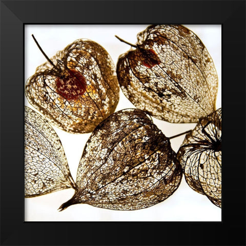 Evanescence III Black Modern Wood Framed Art Print by Weber, Matthias