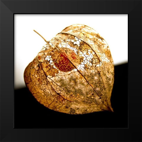 Evanescence V Black Modern Wood Framed Art Print by Weber, Matthias