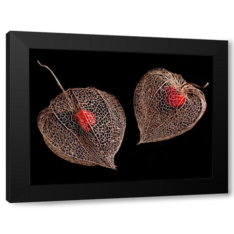 Lantern Hearts Black Modern Wood Framed Art Print with Double Matting by Weber, Matthias