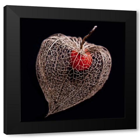 Lantern Heart I Black Modern Wood Framed Art Print by Weber, Matthias