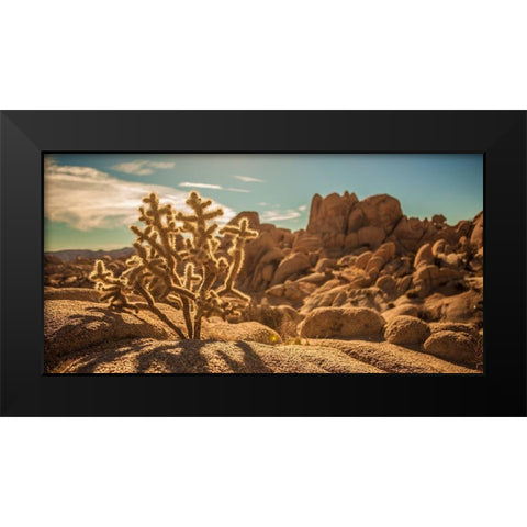 Desert Foreground Black Modern Wood Framed Art Print by Lichtenwalter, Tom