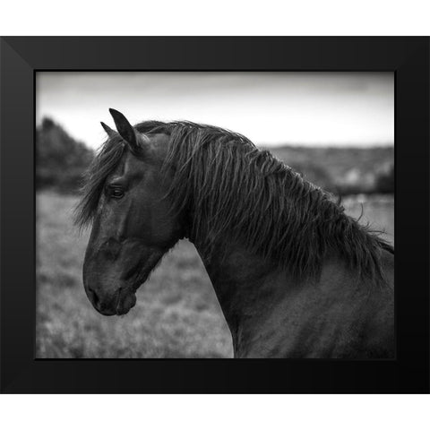 Strong Look Black Modern Wood Framed Art Print by Llovet, Jorge