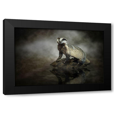 European Badger Black Modern Wood Framed Art Print with Double Matting by Visser, Michiel