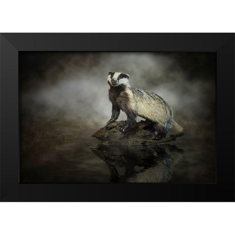 European Badger Black Modern Wood Framed Art Print by Visser, Michiel
