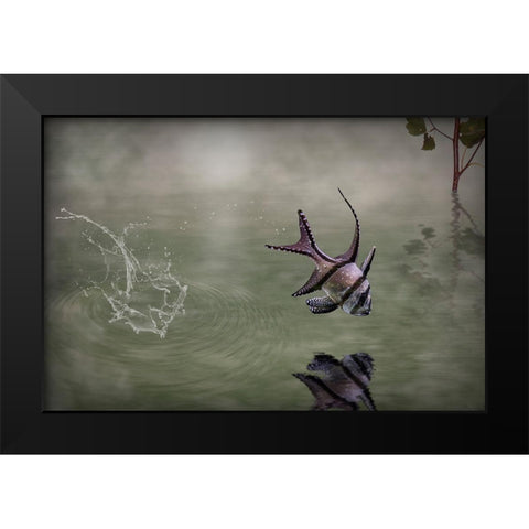 Banggai Cardinalfish Black Modern Wood Framed Art Print by Visser, Michiel