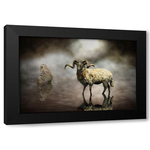 Sheep Black Modern Wood Framed Art Print by Visser, Michiel