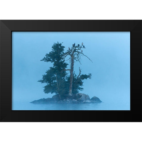 Insel im Klockesjoen Black Modern Wood Framed Art Print by Seidel, Leo