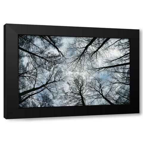 Dark Arms Black Modern Wood Framed Art Print with Double Matting by Steger, Uwe