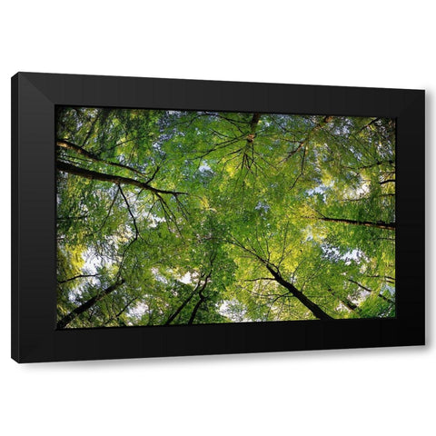 La vie en haute Black Modern Wood Framed Art Print by Steger, Uwe