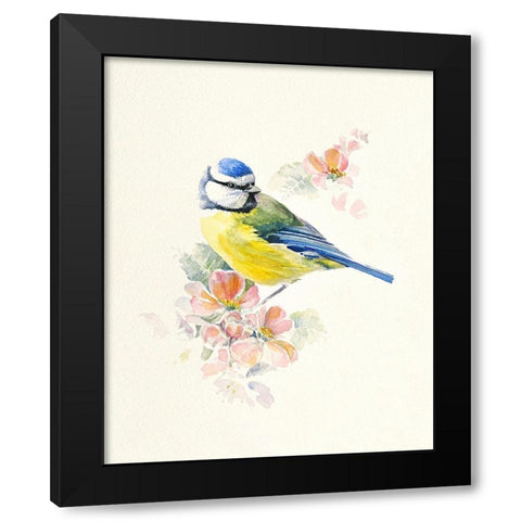 Blue Tit Black Modern Wood Framed Art Print by Mayes, Hilary