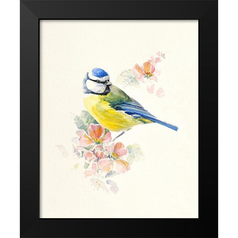 Blue Tit Black Modern Wood Framed Art Print by Mayes, Hilary
