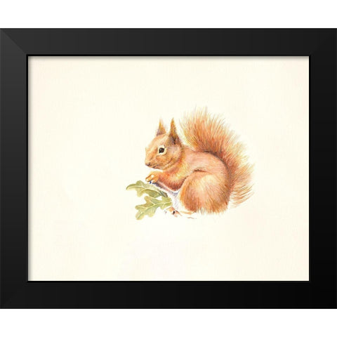 Red Squirrel Black Modern Wood Framed Art Print by Mayes, Hilary