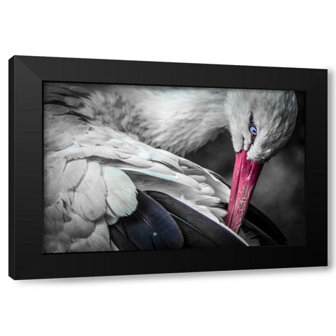 The Stork Black Modern Wood Framed Art Print by Ronin