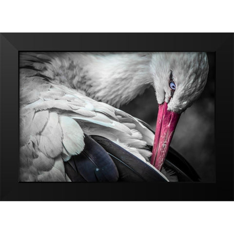 The Stork Black Modern Wood Framed Art Print by Ronin