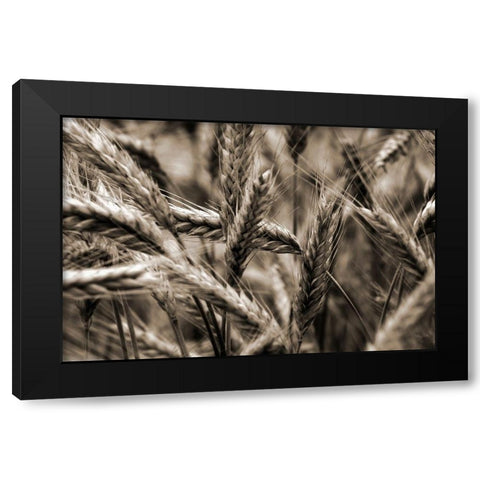 Sommertraum I Black Modern Wood Framed Art Print with Double Matting by Steger, Uwe