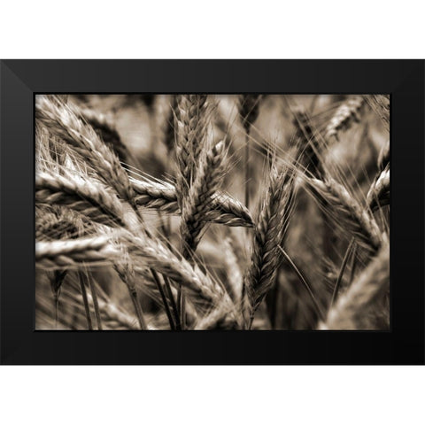 Sommertraum I Black Modern Wood Framed Art Print by Steger, Uwe