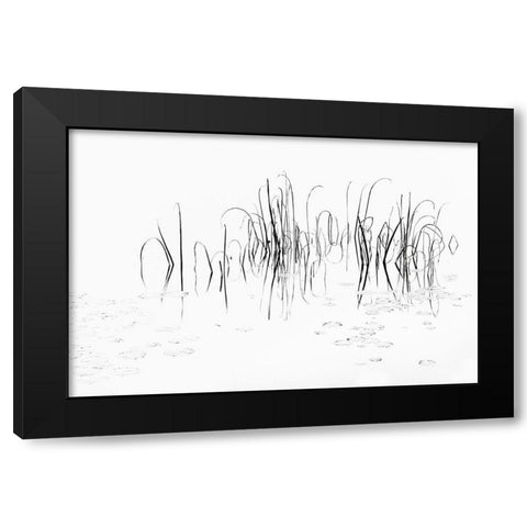 Sign II Black Modern Wood Framed Art Print with Double Matting by Steger, Uwe
