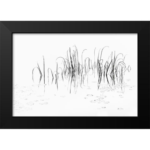 Sign II Black Modern Wood Framed Art Print by Steger, Uwe