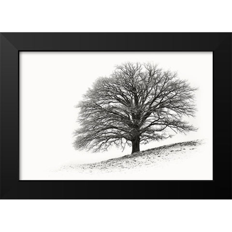 Solitar I Black Modern Wood Framed Art Print by Steger, Uwe