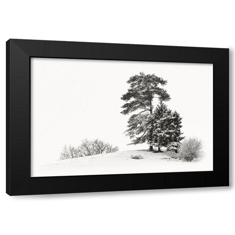 Solitar II Black Modern Wood Framed Art Print by Steger, Uwe