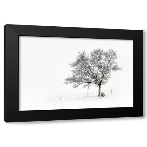 Solitar III Black Modern Wood Framed Art Print with Double Matting by Steger, Uwe
