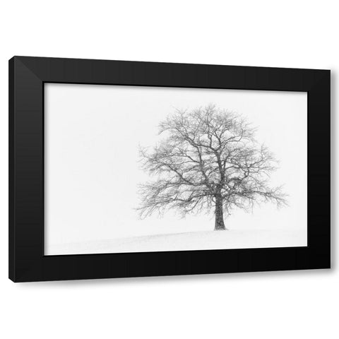 Wintersturm I Black Modern Wood Framed Art Print with Double Matting by Steger, Uwe