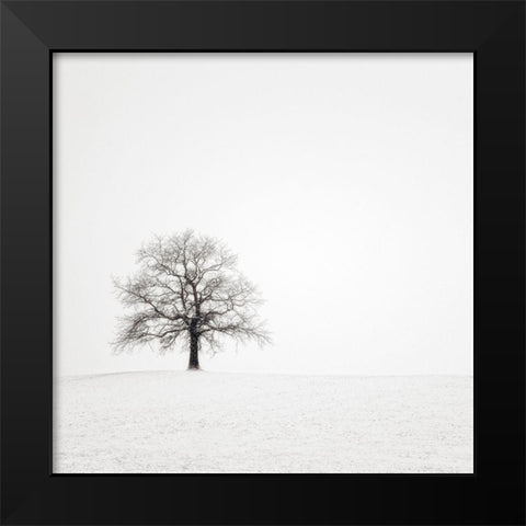 Wintersturm II Black Modern Wood Framed Art Print by Steger, Uwe
