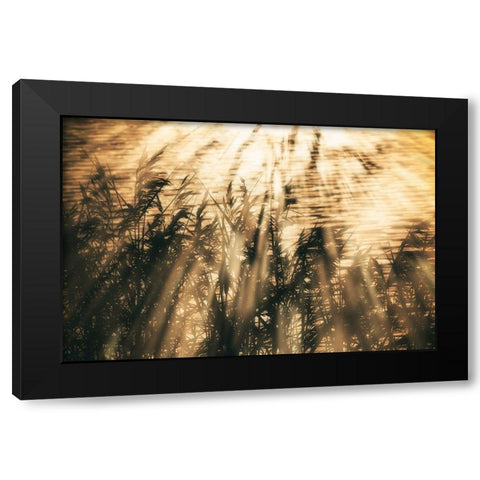 Traumzeit II Black Modern Wood Framed Art Print with Double Matting by Steger, Uwe