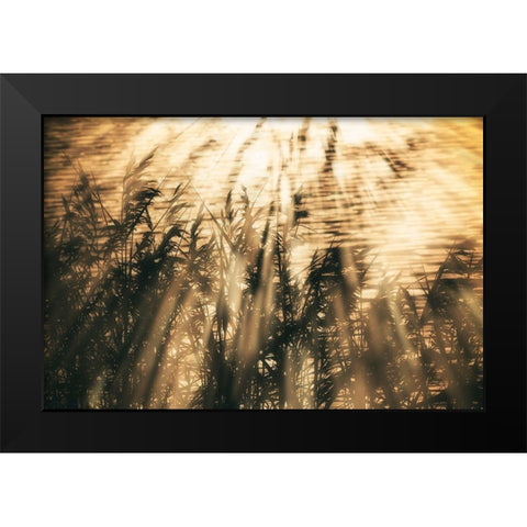 Traumzeit II Black Modern Wood Framed Art Print by Steger, Uwe