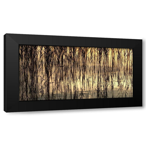 Reed Part I Black Modern Wood Framed Art Print with Double Matting by Steger, Uwe