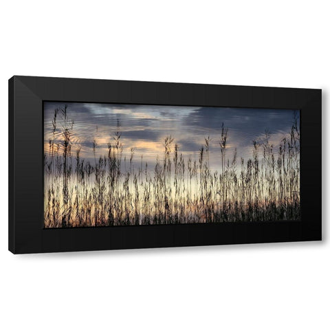 Reed Part II Black Modern Wood Framed Art Print by Steger, Uwe
