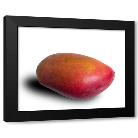 Mango Black Modern Wood Framed Art Print with Double Matting by Brosius, Volker