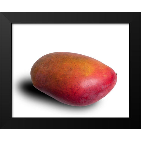Mango Black Modern Wood Framed Art Print by Brosius, Volker