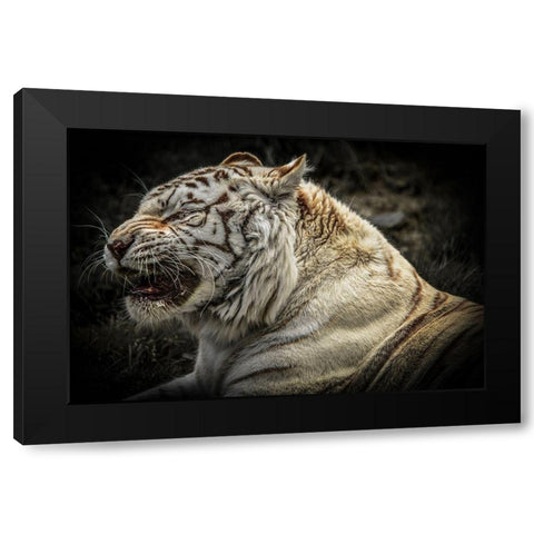 The Lygar Black Modern Wood Framed Art Print with Double Matting by Ronin
